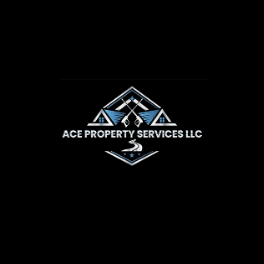 Ace Property Services LLC