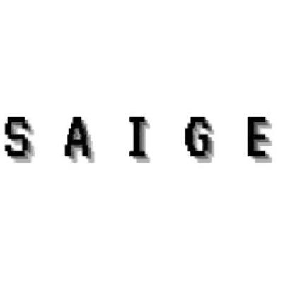 Saige Denim